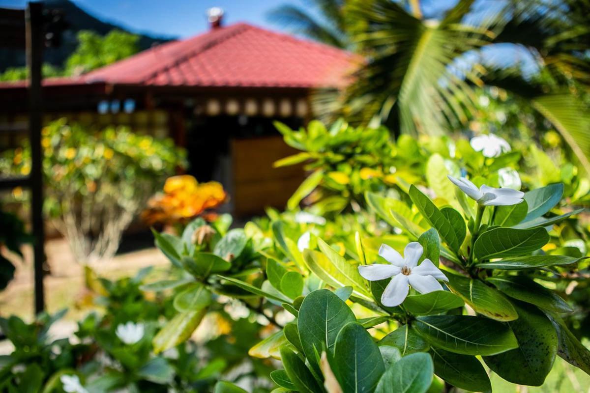 Raiatea Sur Mer Opoa Экстерьер фото